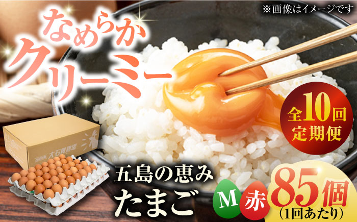 【全10回定期便】【箱入り】五島の恵みたまご Mサイズ 85個入 / 卵 赤玉子 五島市 / 五島列島大石養鶏場 [PFQ016]