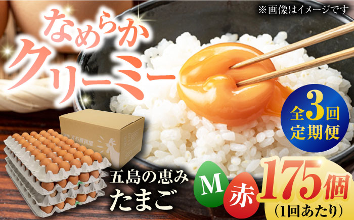 【全3回定期便】【箱入り】五島の恵みたまご Mサイズ 175個入 / 卵 赤玉子 五島市 / 五島列島大石養鶏場 [PFQ020]