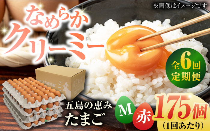 【全6回定期便】【箱入り】五島の恵みたまご Mサイズ 175個入 / 卵 赤玉子 五島市 / 五島列島大石養鶏場 [PFQ021]