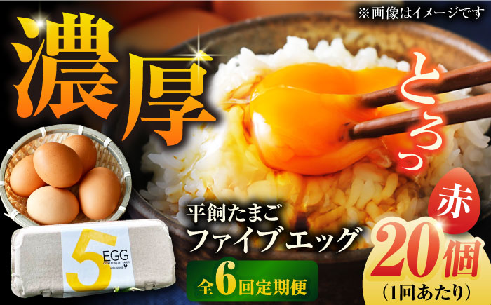 【全6回定期便】【ギフトBOX】平飼たまご ファイブエッグ M～Lサイズ 20個入 / 5EGG 卵 赤玉子 五島市 / 五島列島大石養鶏場 [PFQ027]