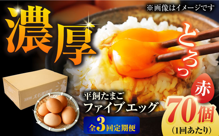 【全3回定期便】【箱入り】平飼たまご ファイブエッグ M～Lサイズ 70個 / 5EGG 卵 赤玉子五島市 / 五島列島大石養鶏場 [PFQ029]