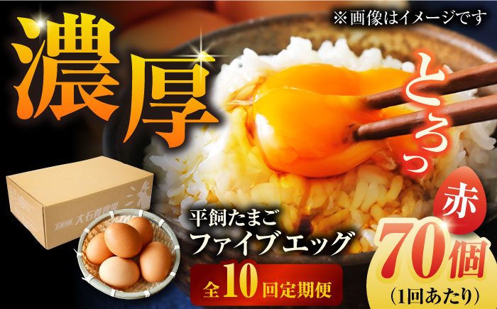 【全10回定期便】【箱入り】平飼たまご ファイブエッグ M～Lサイズ 70個 / 5EGG 卵 赤玉子五島市 / 五島列島大石養鶏場 [PFQ031]