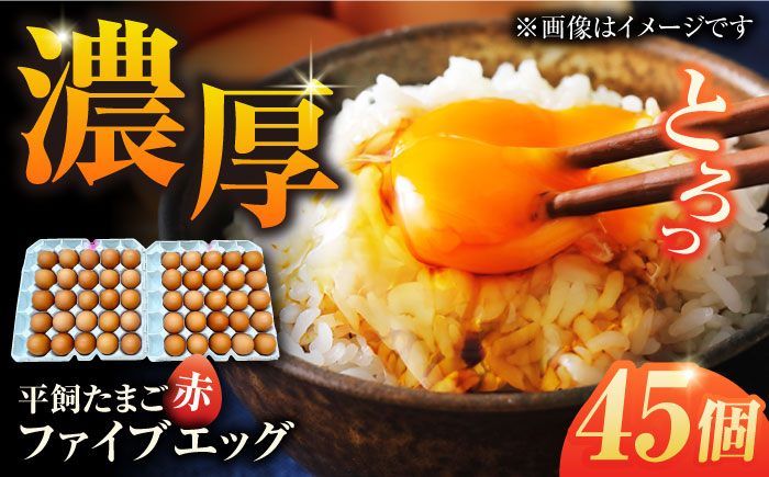 【箱入り】平飼たまご ファイブエッグ M～Lサイズ 45個 / 5EGG 卵 赤玉子 五島市 / 五島列島大石養鶏場 [PFQ036]