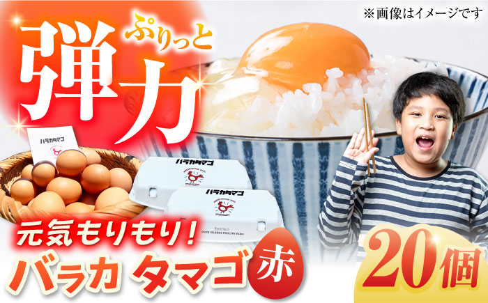 【ギフトBOX】バラカタマゴ 20個入 M～Lサイズ 卵 玉子 国産 五島市 / 五島列島大石養鶏場 [PFQ051]