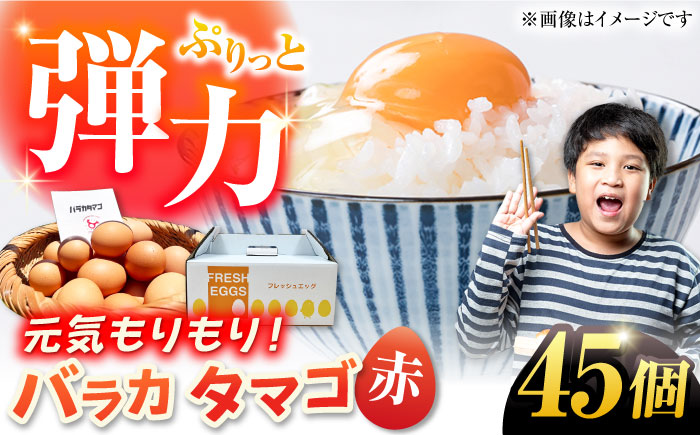 【箱入り】バラカタマゴ 45個入 M～Lサイズ 卵 玉子 たまご 国産 五島市 / 五島列島大石養鶏場 [PFQ053]