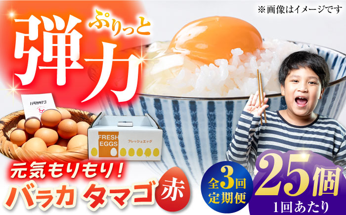 【全3回定期便】【箱入り】バラカタマゴ 25個入 M～Lサイズ 卵 玉子 たまご 国産 五島市 / 五島列島大石養鶏場 [PFQ057]