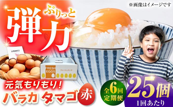 【全6回定期便】【箱入り】バラカタマゴ 25個入 M～Lサイズ 卵 玉子 たまご 国産 五島市 / 五島列島大石養鶏場 [PFQ058]