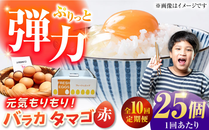 【全10回定期便】【箱入り】バラカタマゴ 25個入 M～Lサイズ 卵 玉子 たまご 国産 五島市 / 五島列島大石養鶏場 [PFQ059]