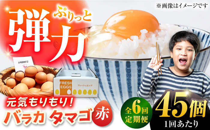 【全6回定期便】【箱入り】バラカタマゴ 45個入 M～Lサイズ 卵 玉子 たまご 国産 五島市 / 五島列島大石養鶏場 [PFQ061]