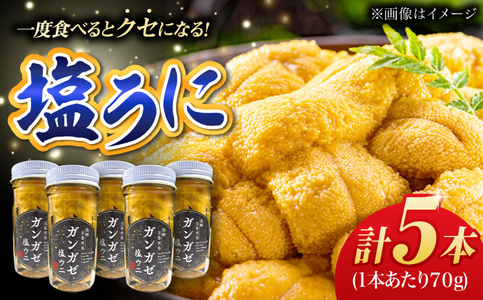 厄介うに ガンガゼ塩うに 70g×5本 / ウニ 雲丹 鮮魚 五島市 / うた丸 [PGA002]