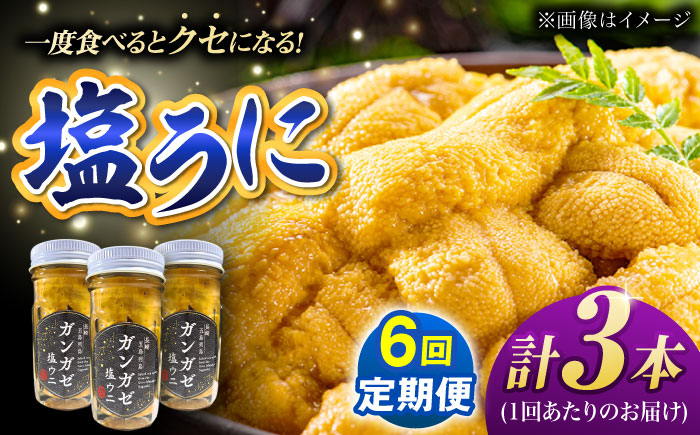 【全6回定期便】厄介うに ガンガゼ塩うに 70g×3本 / ウニ 雲丹 五島市 / うた丸 [PGA004]