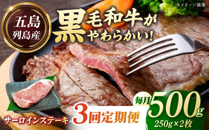 【全3回定期便】五島列島産 黒毛和牛 サーロインステーキ 250g×2枚 五島市/山口Farm [PGJ018]