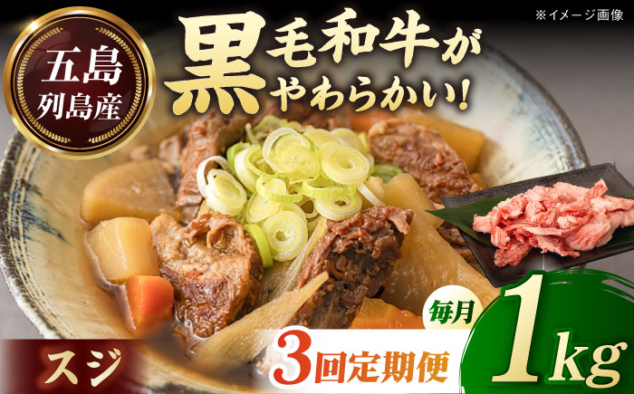 【全3回定期便】五島列島産 黒毛和牛 スジ 1kg 五島市/山口Farm [PGJ026]