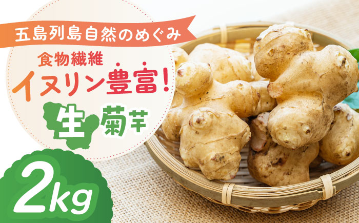 生キクイモ（菊芋）2kg 五島市/五島列島自然のめぐみ [PGM005]