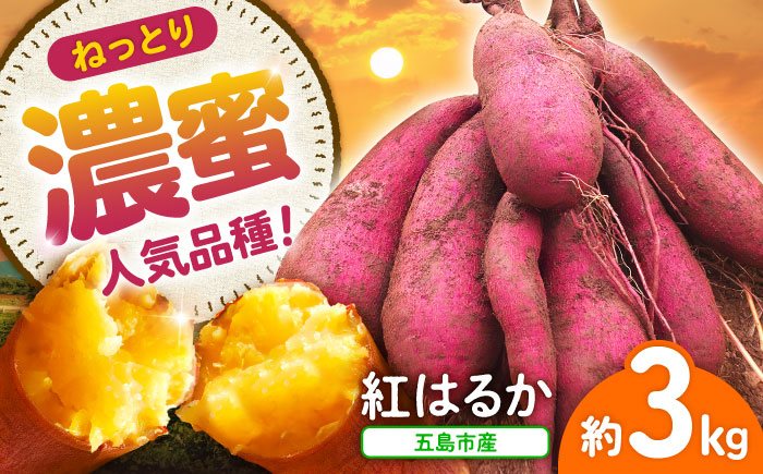 【2025年10月より発送】島の元気なさつまいも!ねっとり甘い『紅はるか』3kg 五島市/あわたに農園 [PGO001]