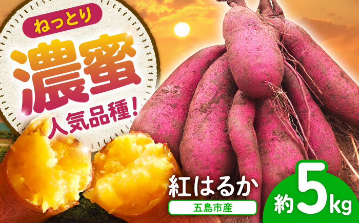 【2025年10月より発送】島の元気なさつまいも!ねっとり甘い『紅はるか』5kg 五島市/あわたに農園 [PGO002]