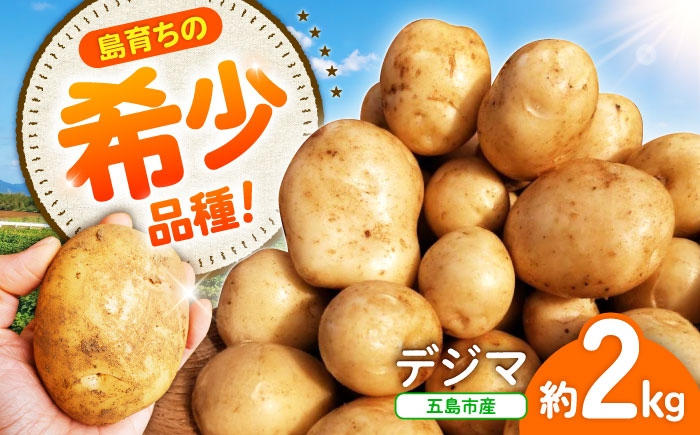 【2025年12月より発送】島の元気なじゃがいも!旨味抜群の『デジマ』2kg 五島市/あわたに農園 [PGO003]