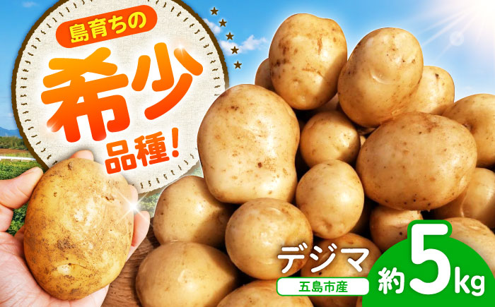 【2025年12月より発送】島の元気なじゃがいも!旨味抜群の『デジマ』5kg 五島市/あわたに農園 [PGO004]