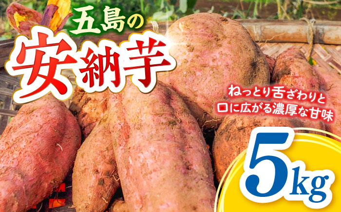 潮風と火山灰土が育てた島さつまいも『安納芋』5kg 五島市/あわたに農園 [PGO006]