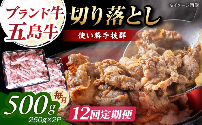 【12回定期便】五島牛 切り落とし 500g（250g×2p） 五島市/五島牛 肉のむらおか [PGP008]
