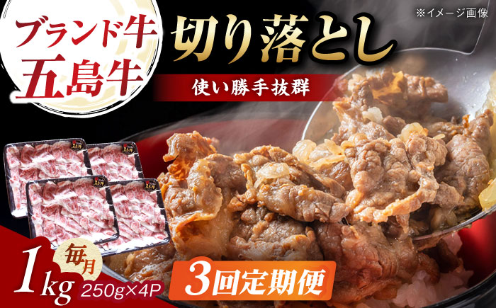 【3回定期便】五島牛 切り落とし 1kg 五島市/五島牛 肉のむらおか [PGP010]