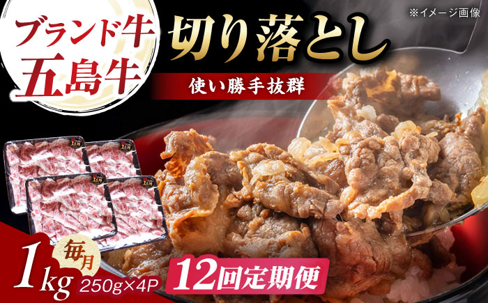 【12回定期便】五島牛 切り落とし 1kg 五島市/五島牛 肉のむらおか [PGP012]