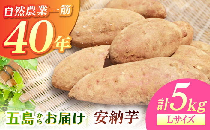こばさんちの安納芋Lサイズ5kg 五島市/こばさんち農園 [PGW002]