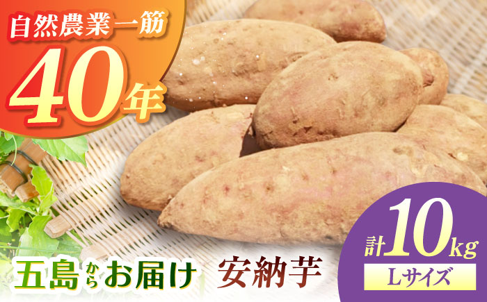こばさんちの安納芋Lサイズ10kg 五島市/こばさんち農園 [PGW003]