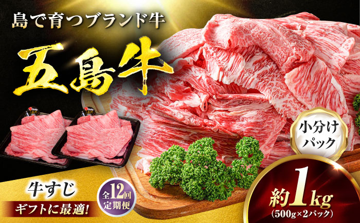 【12回定期便】五島牛 牛すじ1kg（500g×2P）五島市/meat shop FUKU [PHF008]