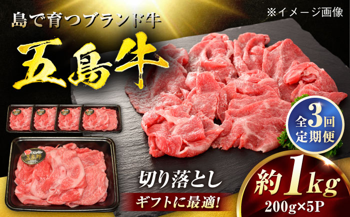 【3回定期便】五島牛 切り落とし 1kg（200g×5P）五島市/meat shop FUKU [PHF018]