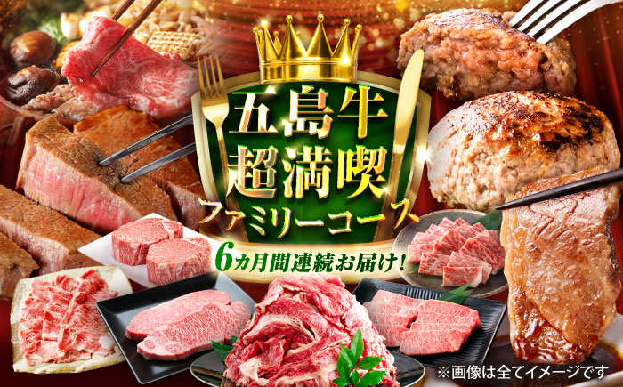 【6回定期便】大満足！五島牛 ファミリー特撰コース 五島市/五島市ふるさと納税 [PZX029]