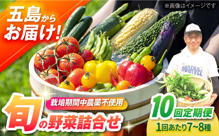 [全10回定期便]有機農法・旬の野菜詰め合わせ 野菜セット 五島市/ぷらっと農園 
