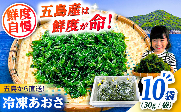 五島産あおさ　30g×10袋　五島市/真栄丸 [PGR001]