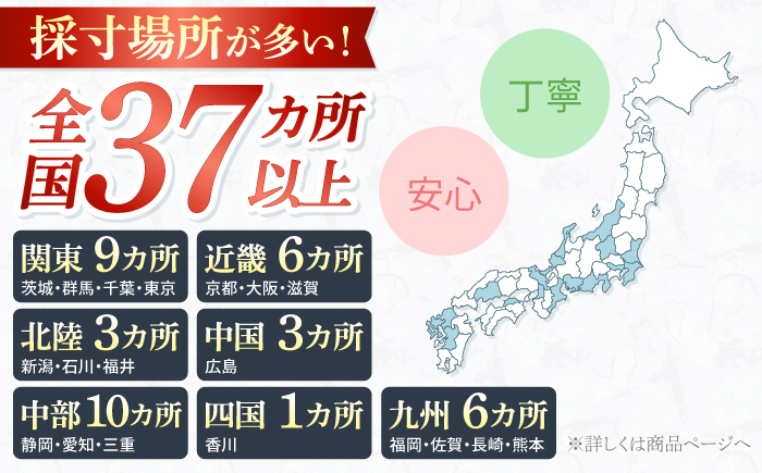 【御幸オリジナル生地】【全国30カ所以上で採寸可】【選べるオプション】イージーオーダーフォーマル スーツ お仕立て券＜御幸毛織＞ [CAN022]長崎 西海 スーツ