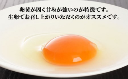 【黄身がつかめる最高級の卵】【6回定期便】かきやまの「地養卵」 Mサイズ 90個×6回定期便＜垣山養鶏園＞ [CBB007] 卵 たまご タマゴ たまご