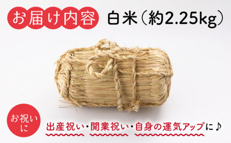 【贈答にも】 米俵 白米 一升半 一生繁盛 ＜白石農園＞ [CBI006]