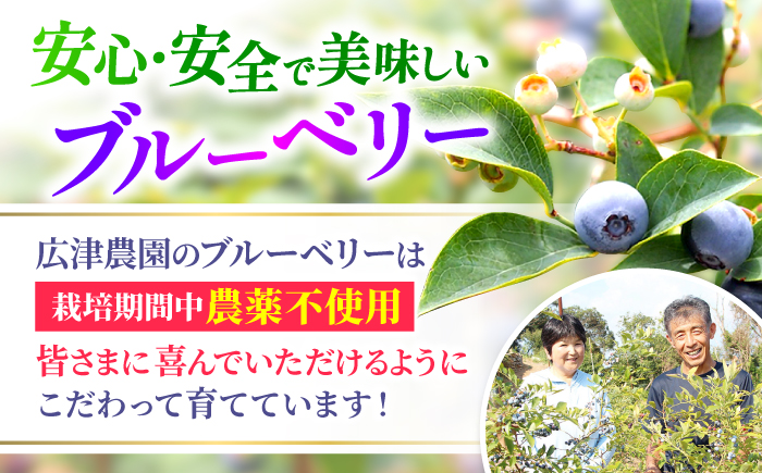 【2026年6月中旬より順次発送】【栽培期間中 農薬不使用】完熟 生ブルーベリー 計1kg＜広津農園＞ [CBN008]