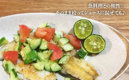 【TVで話題！】【☆先行予約☆】青切りシークワーサー2kg（110～150個）＜広津農園＞ [CBN011]