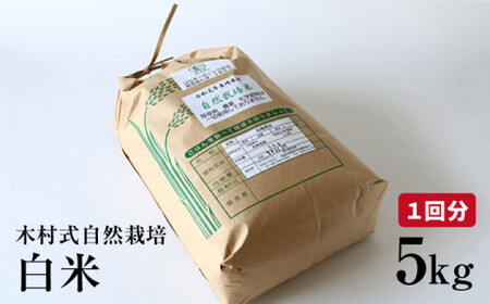 【2025年10月より発送】【月1回5kg×3回定期便】木村式自然栽培の 白米 ヒノヒカリ 計15kg＜ハマソウファーム＞ [CBR003]