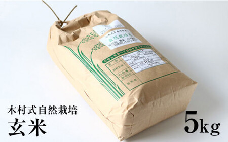 【2025年10月より発送】【木村式自然栽培】玄米 ヒノヒカリ ５kg＜ハマソウファーム＞ [CBR006]