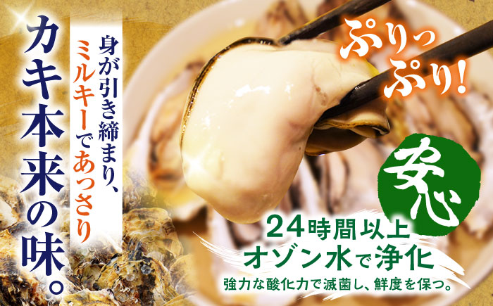 ※配達日時指定必須※【オゾン水で24時間浄化】うず潮カキ10kg（約130～200個）＜西彼町漁協＞ [CBZ003]
