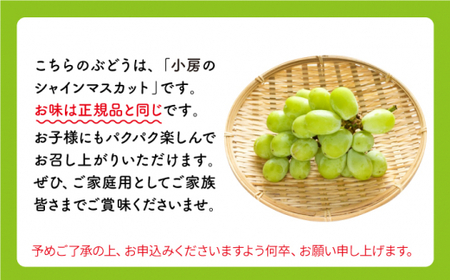 【訳あり小房】シャインマスカット2～3房（約1～1.5kg） [CCE009] シャインマスカット マスカット ぶどう