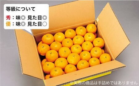 【訳あり】西海1号 温州 みかん 約5kg（優品/Mサイズ）＜西海柑橘農業協同組合＞ [CCF003]