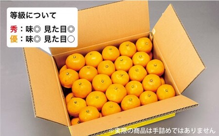 【訳あり】西海1号 温州 みかん 約5kg（優品/Sサイズ）＜西海柑橘農業協同組合＞ [CCF004]