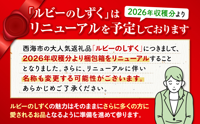 【2026年収穫分先行予約】【糖度9度以上！】 大島 トマト 特選「ルビーのしずく」約1.2kg＜大島造船所 農産グループ＞ [CCK016]