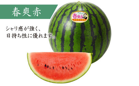 【どれが届くかな？】面高すいか約7kg×2玉＜太田幸男＞ [CCN003]