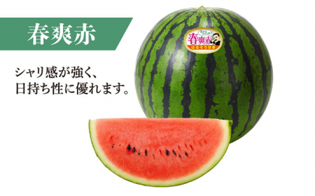 【どれが届くかな？】 面高すいか 約7kg×1玉 ＜太田幸男＞ [CCN017]