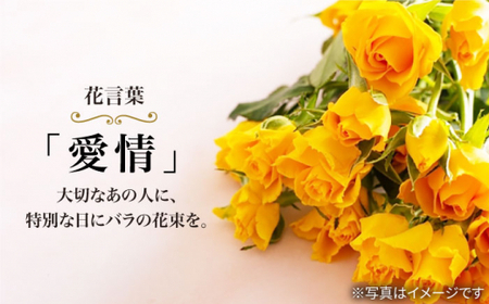 【6回定期便】【記念日にはバラを送ろう】バラの花束（黄）＜花工房るふらん＞ [CCR033]