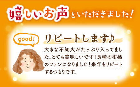 【3月より順次発送】【春柑橘】不知火（しらぬい）約6.5～7kg＜川添みかん園＞ [CCT010] みかん