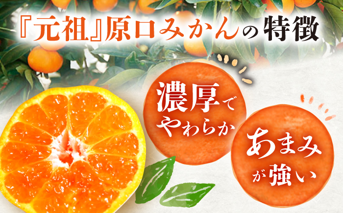 『元祖！』原口みかん 5kg＜原口果樹園＞ [CCW001]